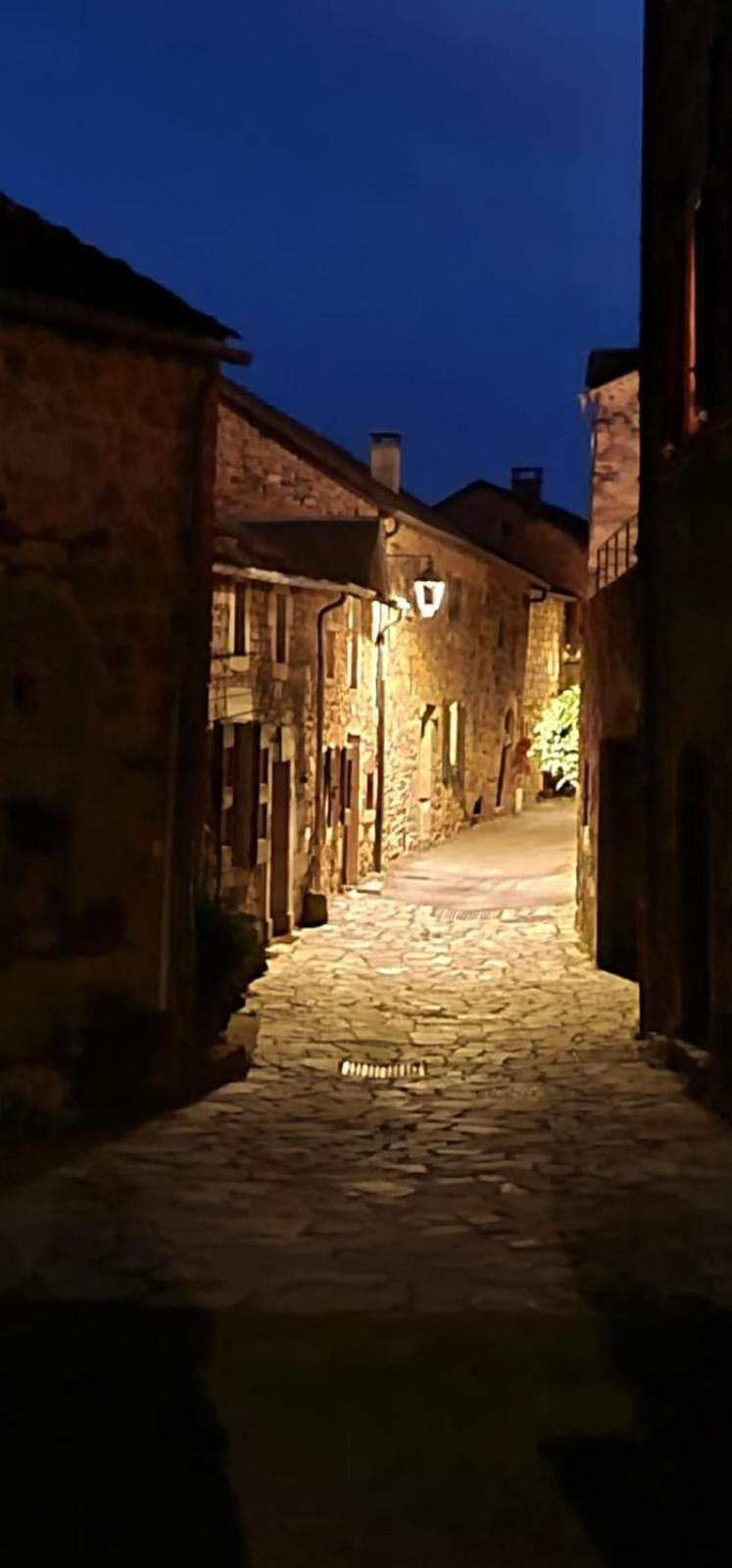 The Tavern Castelnau-Pegayrols Екстер'єр фото